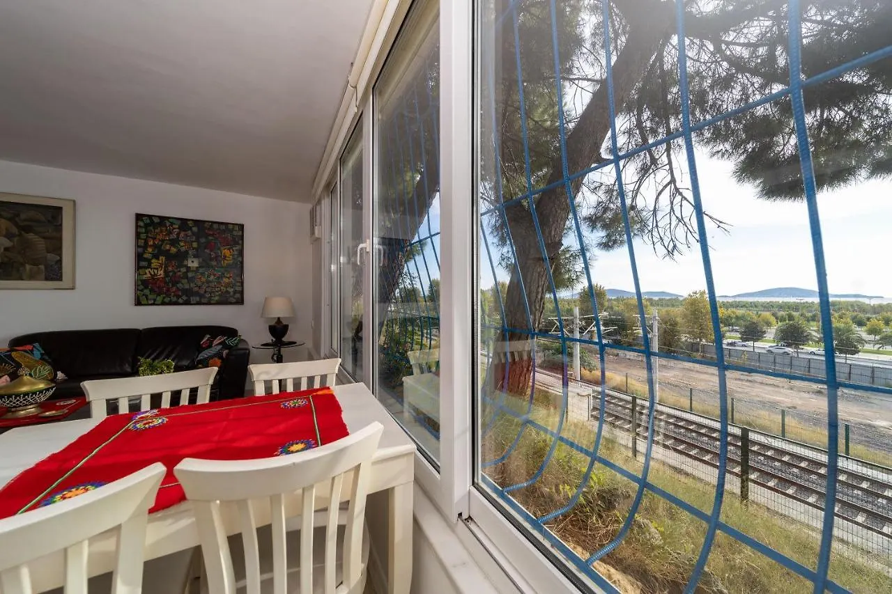House With Tree Inside Near Sea In Maltepe Villa Istanbul Turkey
